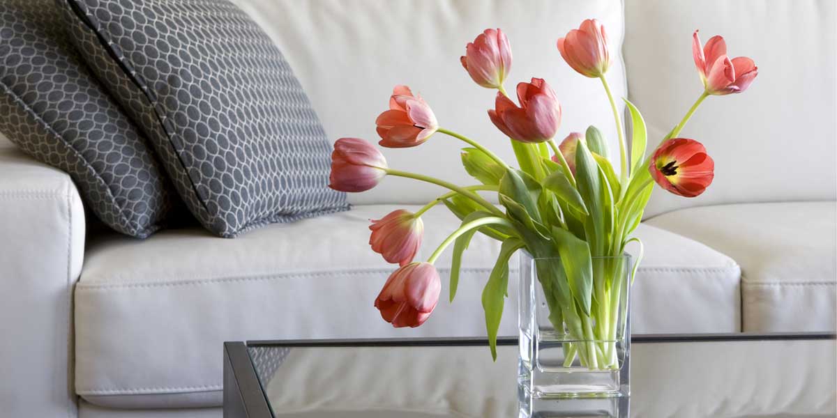 Home-staging tips from the pros