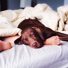 5 ways to sleep better and be more productive