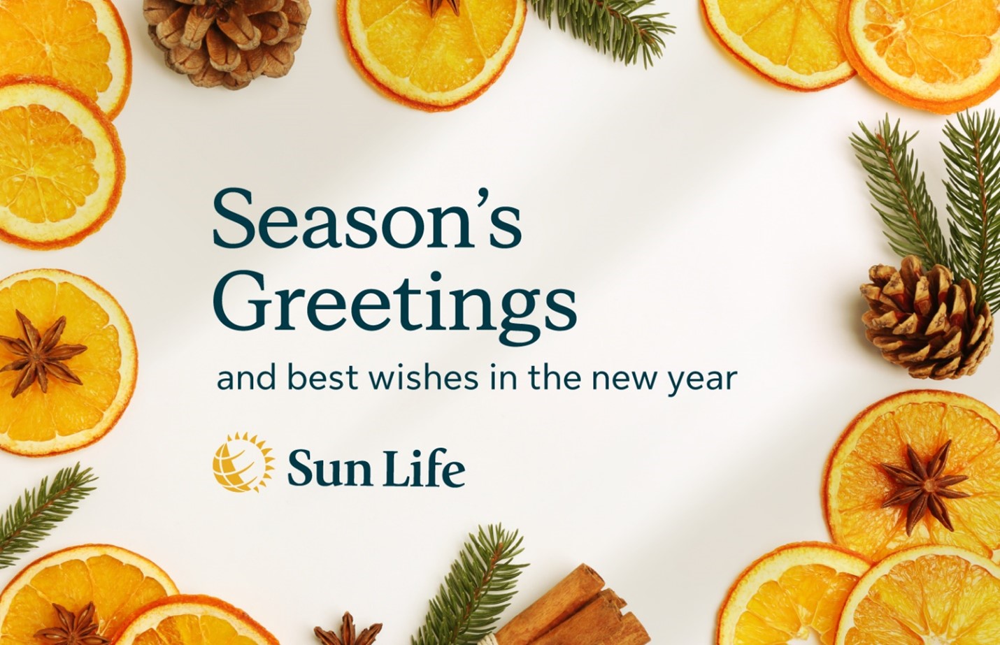 Season's greetings and best wishes in the new year