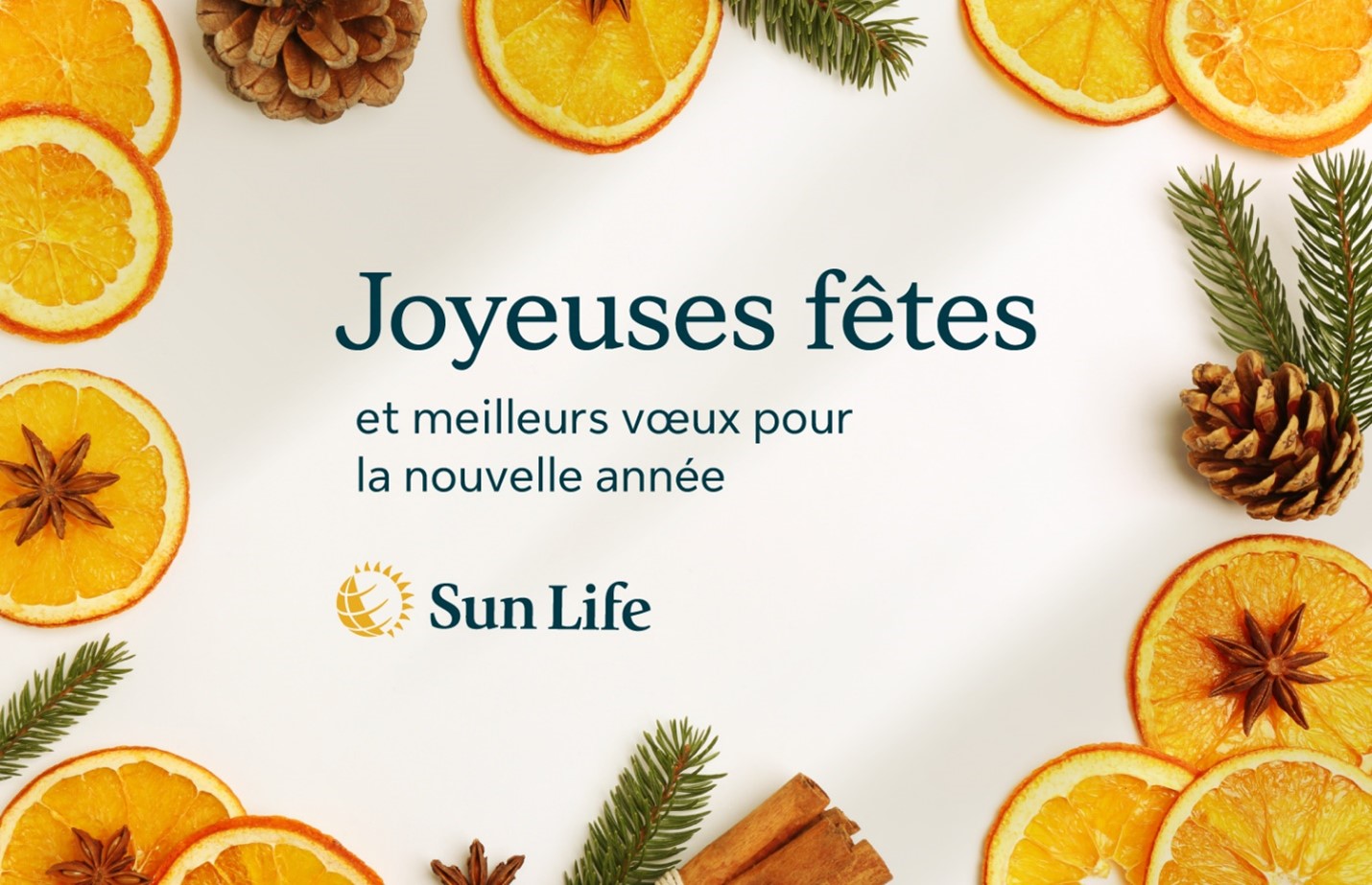 Joyeuses fêtes et meilleurs vœux pour la nouvelle année