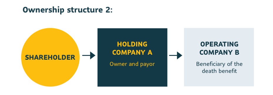 Ownership Structure 2