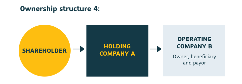 Ownership Structure 4