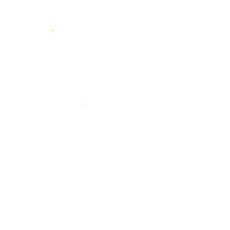 Action Plan
